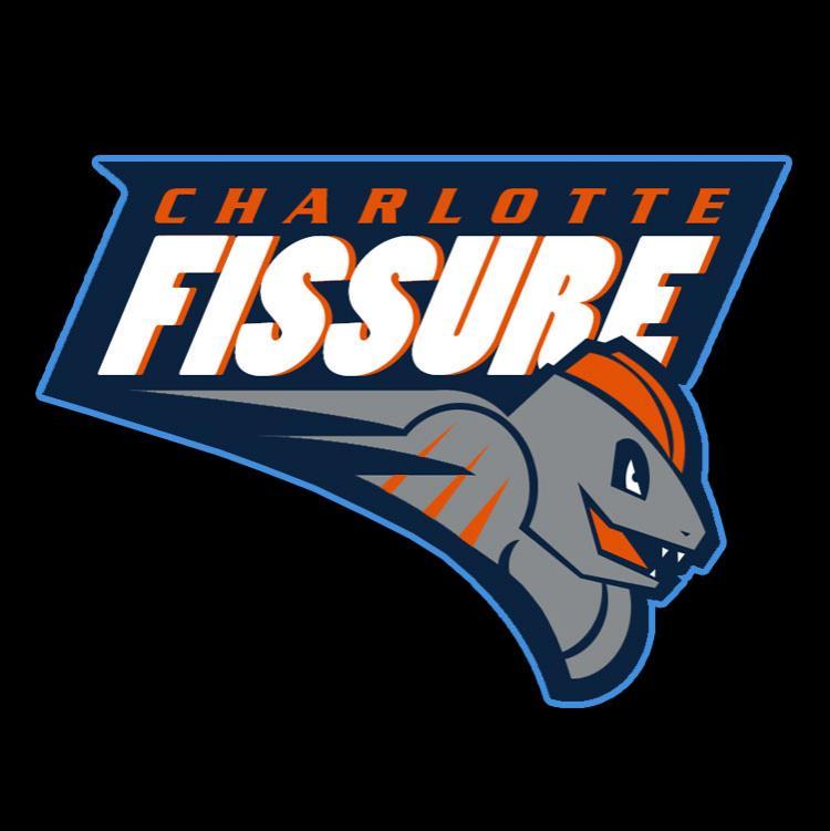 Charlotte Bobcats Pokemon logo iron on transfers
